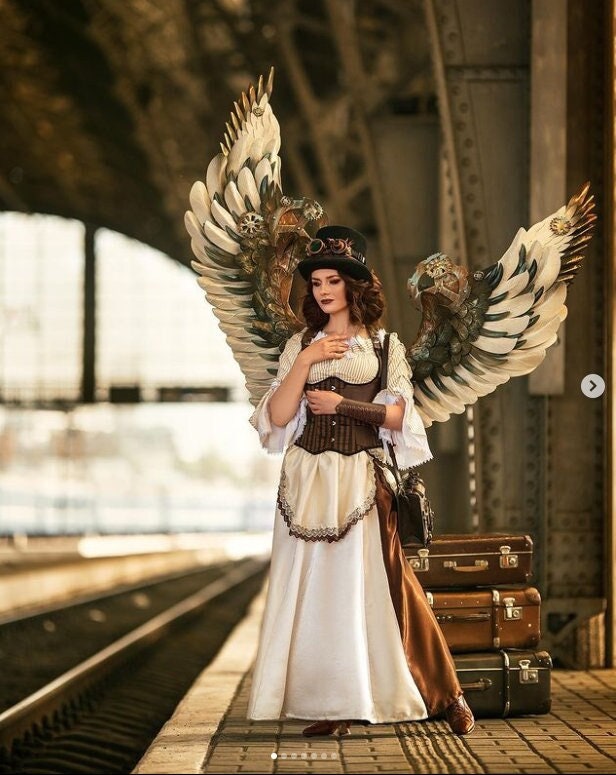 Steampunk wings