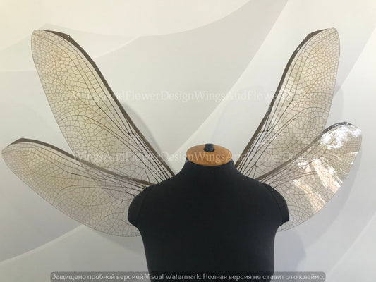 Dragonfly wings, butterfly brown wings, elf wings, fairy wings, wings Photo Prop, butterfly wings, fantasy halloween, magical fairy,