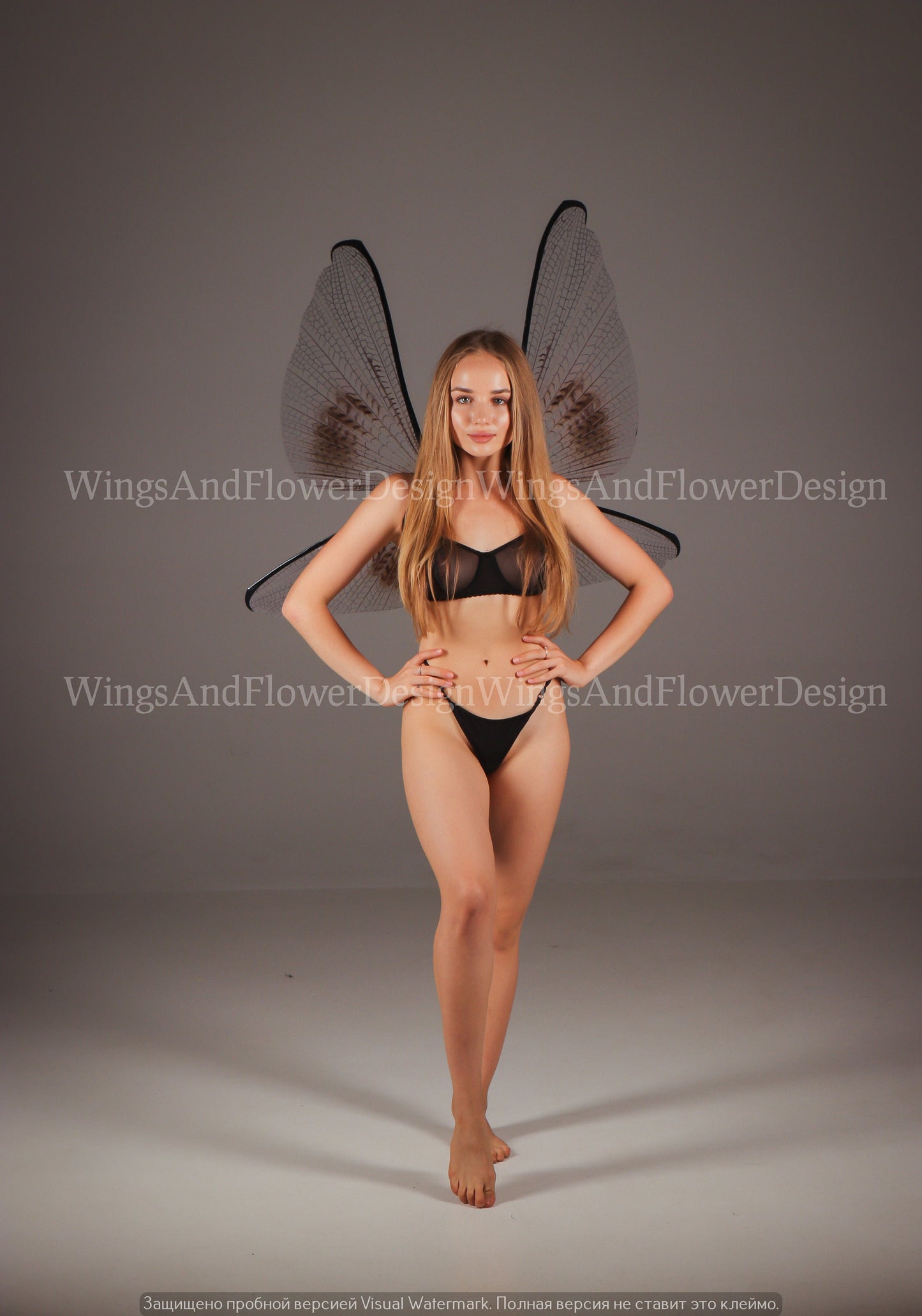 Transparent wings, butterfly wings, elf wings, wings Photo Prop, butterfly fairy wings, fantasy Halloween fantasy, magical fairy clear wings
