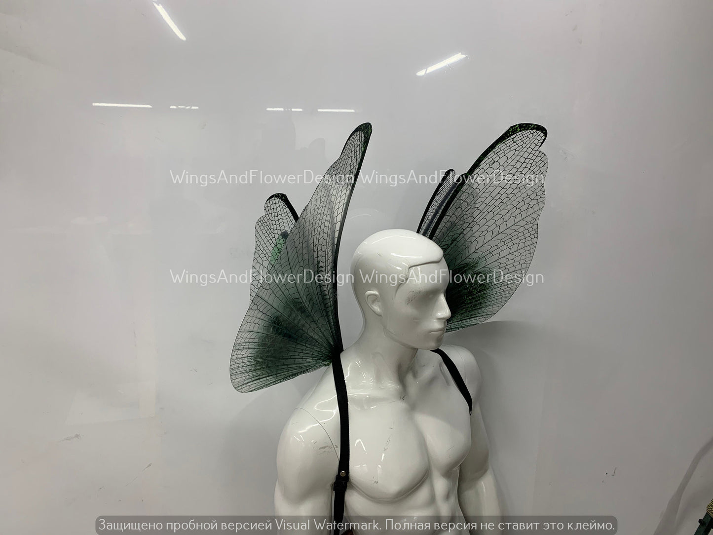Transparent green wings, moth wings, butterfly wings, elf wings, butterfly fairy wings, fantasy Halloween fantasy, magical fairy clear wings
