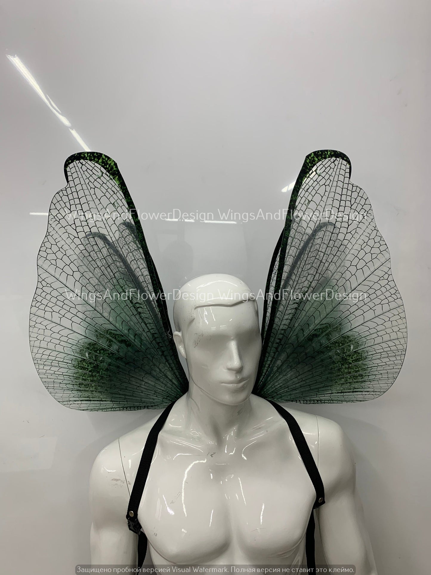 Transparent green wings, moth wings, butterfly wings, elf wings, butterfly fairy wings, fantasy Halloween fantasy, magical fairy clear wings