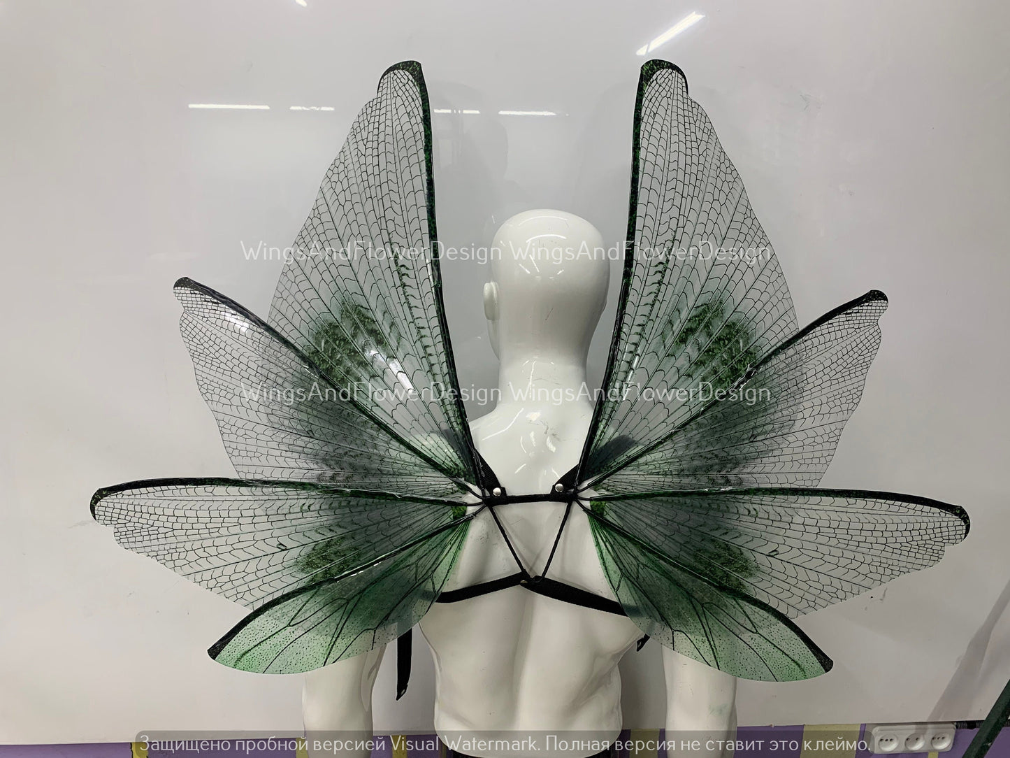 Transparent green wings, moth wings, butterfly wings, elf wings, butterfly fairy wings, fantasy Halloween fantasy, magical fairy clear wings