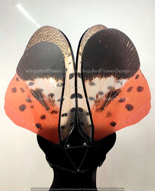 Invasive spotted lanternfly wings, insect red brown wings, wings Photo Prop, butterfly wings, fantasy halloween, magical fairy