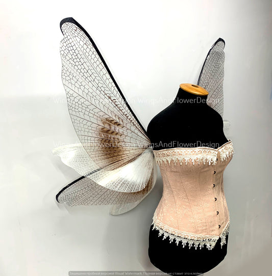 Transparent wings, moth wings, butterfly wings elf wings, butterfly fairy wings fantasy Halloween magical fairy clear wings