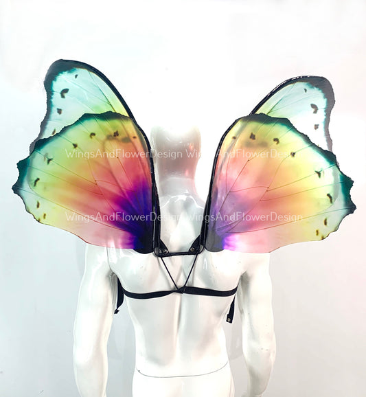 Rainbow Swallowtail butterfly wings, iridescent butterfly fairy wings, costume wings, Fairy wings, Pink Swallowtail, Halloween