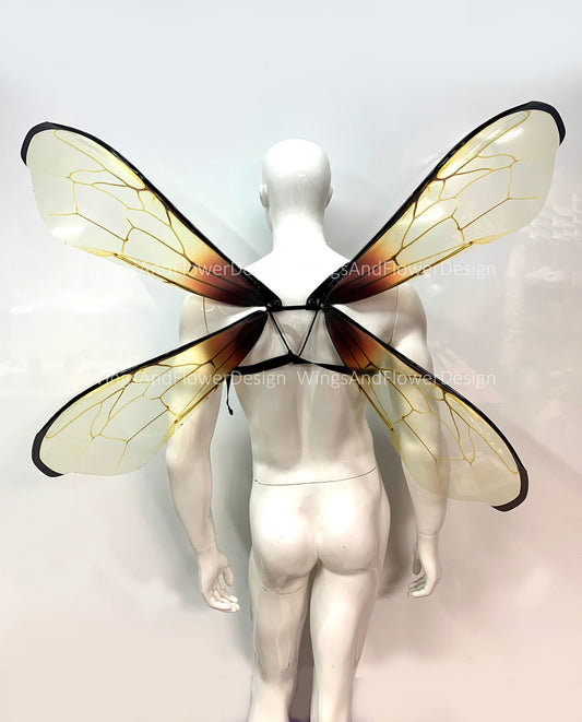 Transparent bee wings, insect wings, fairy wings, wings Photo Prop, beetle wings, butterfly fairy bee wings, fantasy halloween