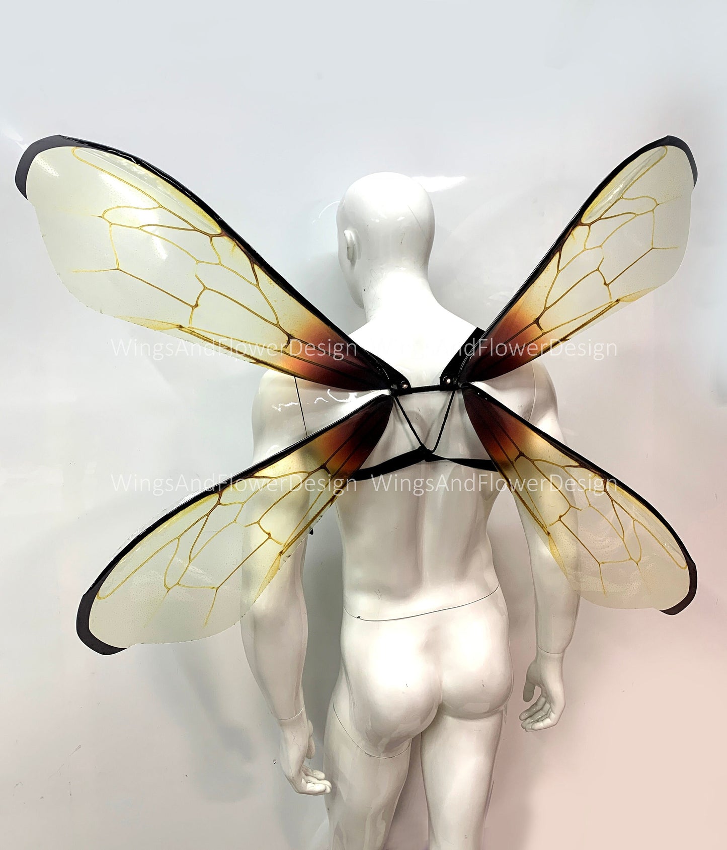 Transparent bee wings, insect wings, fairy wings, wings Photo Prop, beetle wings, butterfly fairy bee wings, fantasy halloween