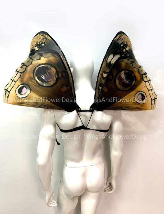 Brown Swallowtail butterfly wings, butterfly fairy wings Fairy wings, Brown Swallowtail, fantasy Halloween, Adult Fairy Wings, monarch wings