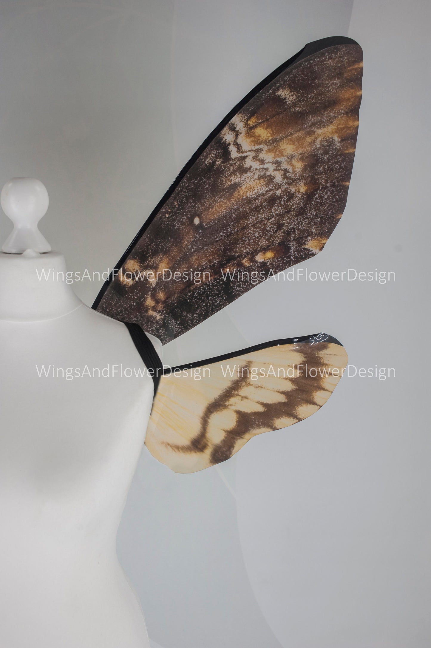 Deaths head moth wings hawkmoth brown wings costume wings death's-head hawkmoth wings brown swallowtail festival clothing