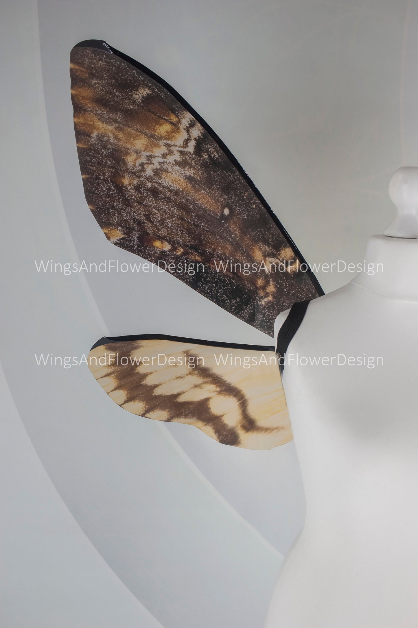 Deaths head moth wings hawkmoth brown wings costume wings death's-head hawkmoth wings brown swallowtail festival clothing
