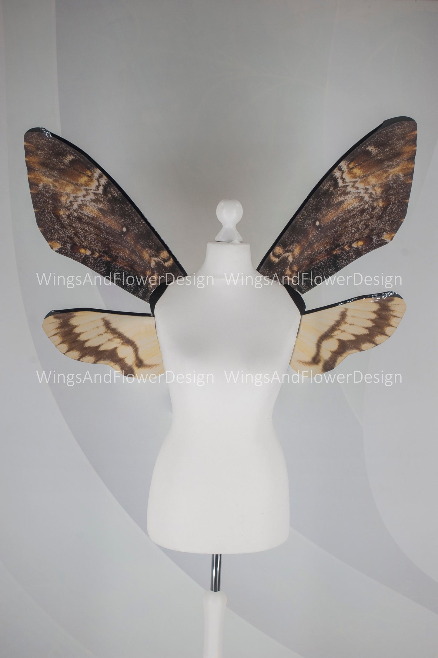 Deaths head moth wings hawkmoth brown wings costume wings death's-head hawkmoth wings brown swallowtail festival clothing