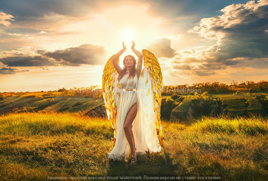 White gold angel wings, gold angel wings, wedding wings, giant sexy wings, wings cosplay, Christmas angel, Lucifer wings Christmas wings
