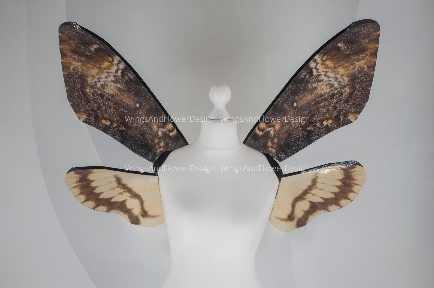 Deaths head moth wings hawkmoth brown wings costume wings death's-head hawkmoth wings brown swallowtail festival clothing