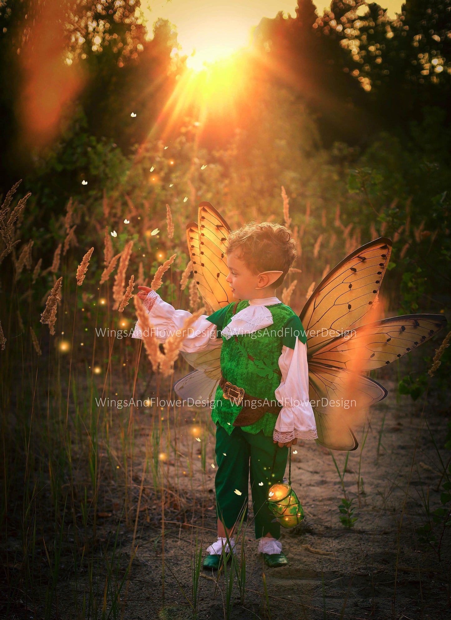 Cicada wings, cicada wings, elf wings, fairy wings, wings Photo Prop, wedding wings, butterfly fairy wings, fantasy halloween, magical fairy