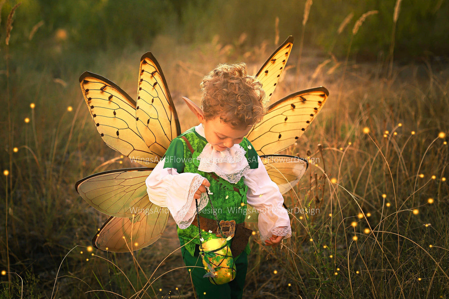 Cicada wings, cicada wings, elf wings, fairy wings, wings Photo Prop, wedding wings, butterfly fairy wings, fantasy halloween, magical fairy