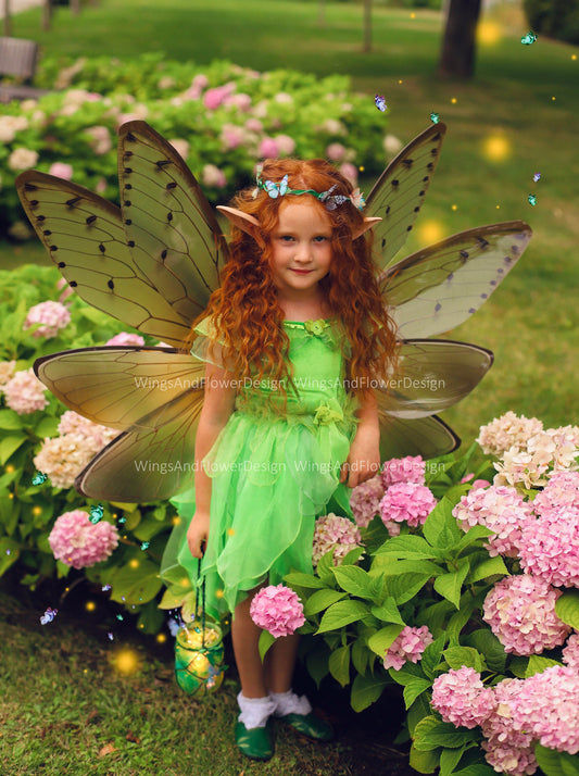 Cicada wings, cicada wings, elf wings, fairy wings, wings Photo Prop, wedding wings, butterfly fairy wings, fantasy halloween, magical fairy