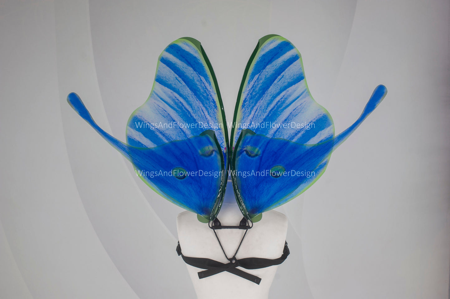 Luna Moth green blue eyespots moon butterfly wings, fairy wings, wedding wings, butterfly fairy wings, fantasy halloween magical Actias luna