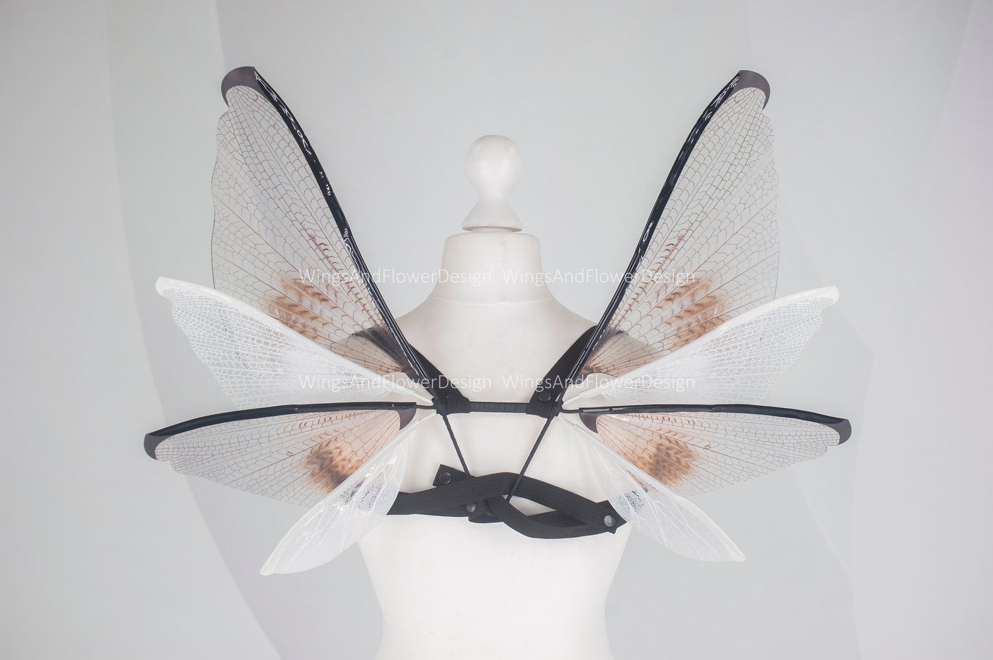 Small little transparent wings, moth wings, butterfly wings, elf wings, butterfly fairy wings, fantasy Halloween, magical fairy clear wings