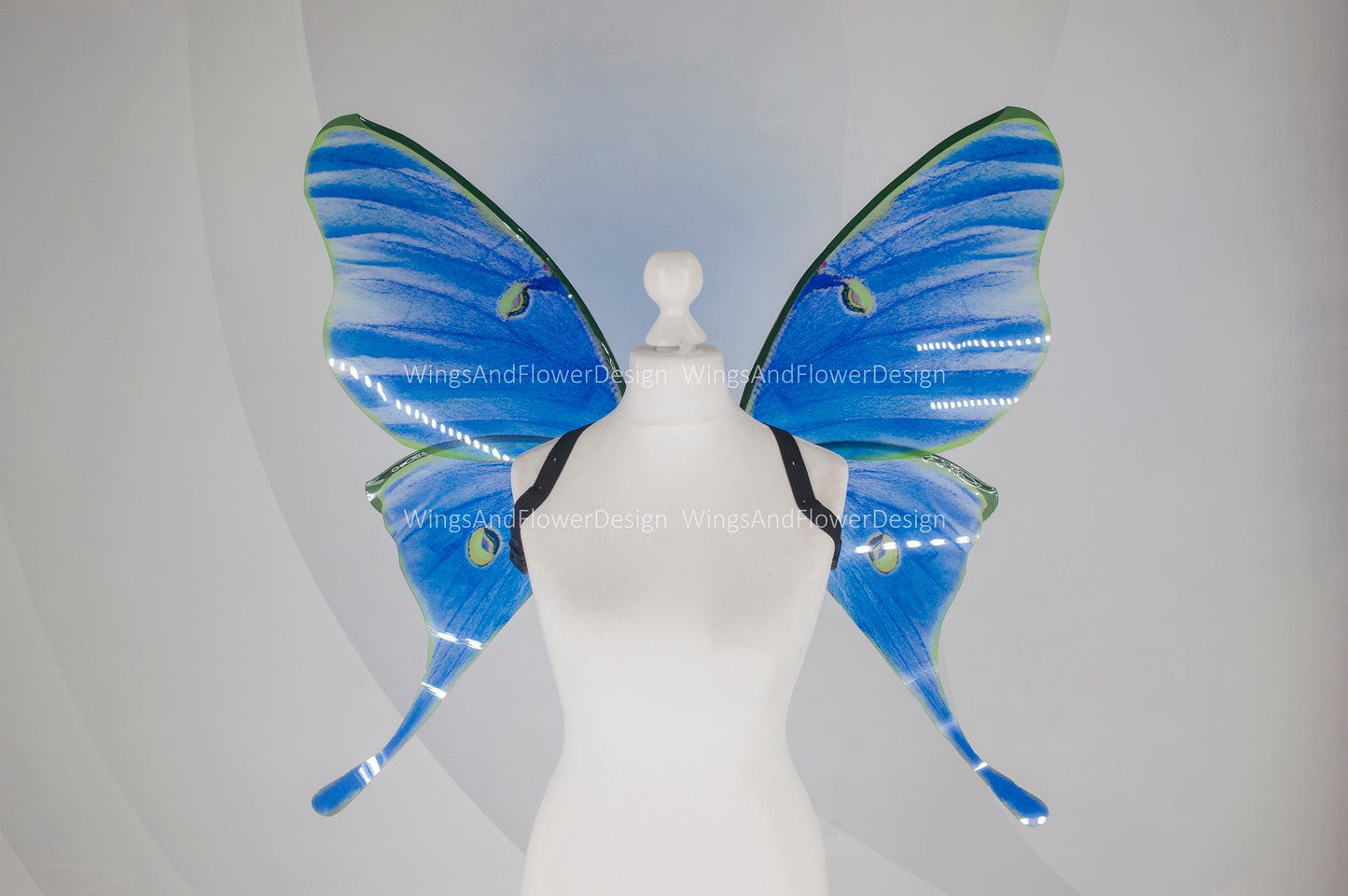 Luna Moth green blue eyespots moon butterfly wings, fairy wings, wedding wings, butterfly fairy wings, fantasy halloween magical Actias luna
