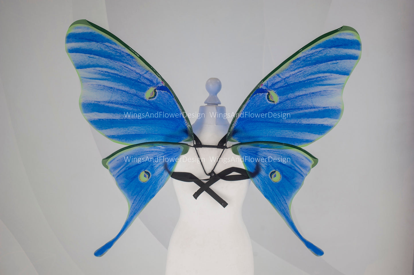 Luna Moth green blue eyespots moon butterfly wings, fairy wings, wedding wings, butterfly fairy wings, fantasy halloween magical Actias luna