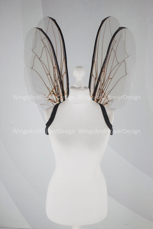 Fly brown black beetle wings, elf fairy wings, wings Photo Prop, wedding wings, butterfly fairy wings, fantasy halloween, magical fairy