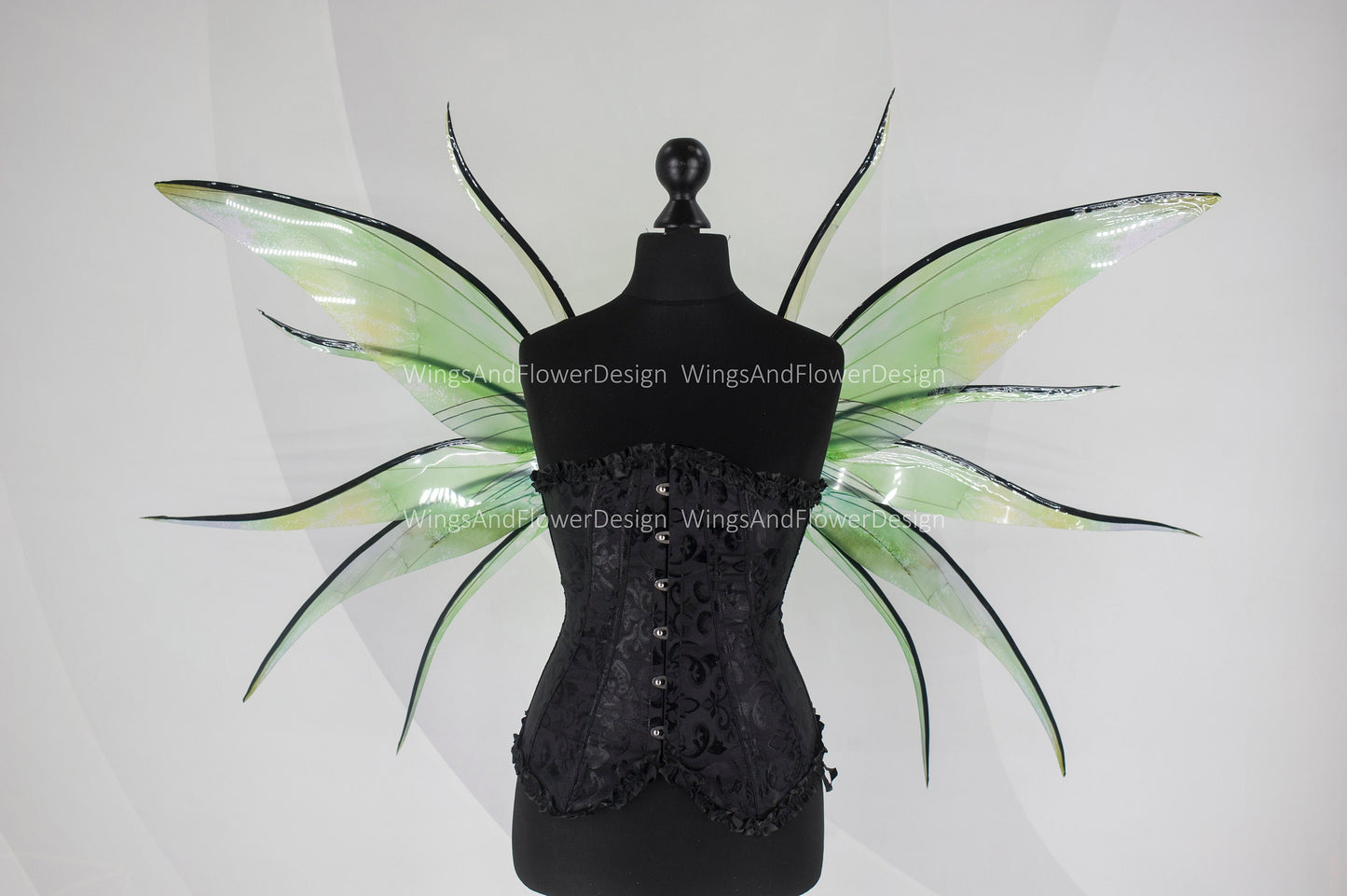 Transparent green moth wings, butterfly wings, elf wings, butterfly fairy wings, fantasy Halloween fantasy, magical fairy clear wings