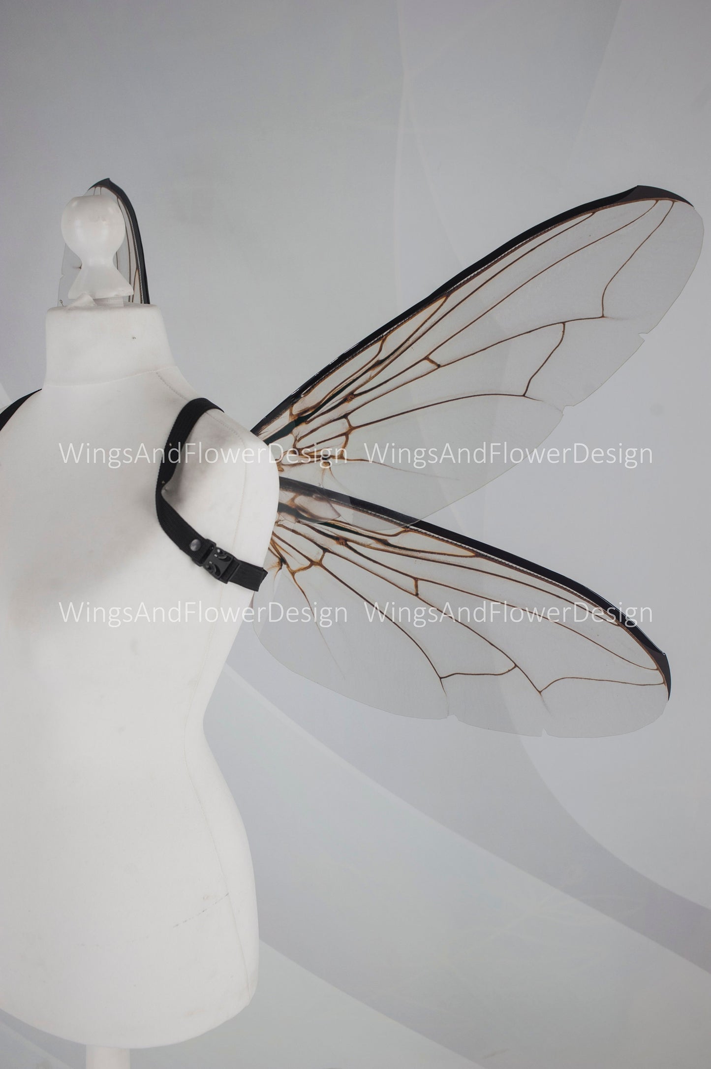 Fly brown black beetle wings, elf fairy wings, wings Photo Prop, wedding wings, butterfly fairy wings, fantasy halloween, magical fairy