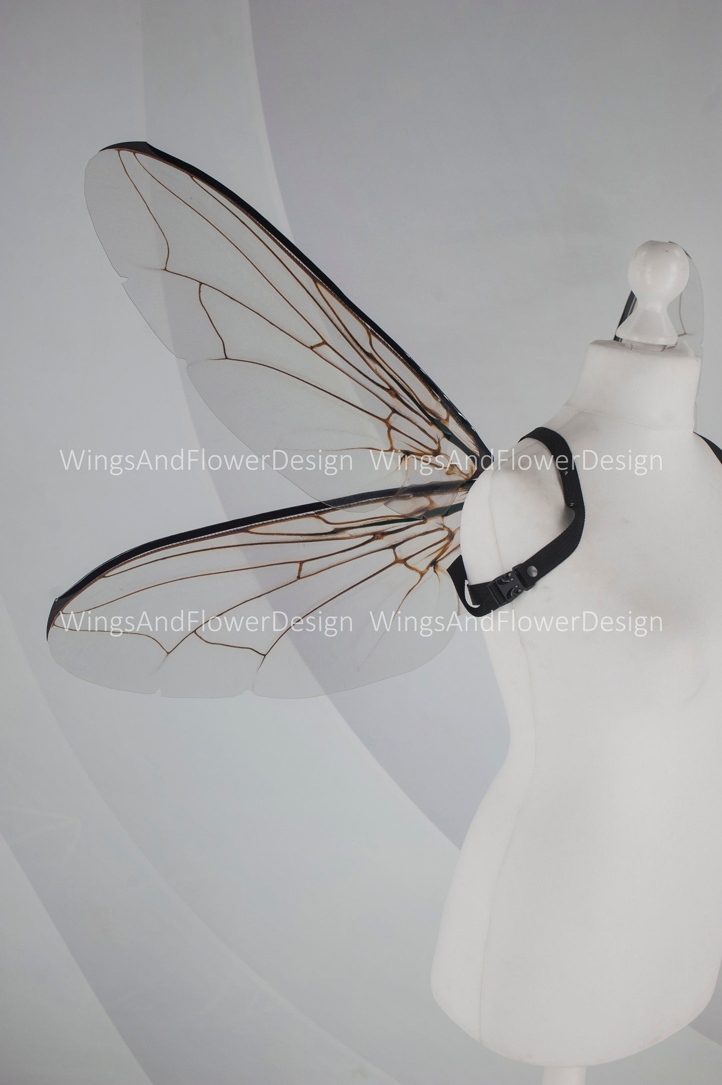 Fly brown black beetle wings, elf fairy wings, wings Photo Prop, wedding wings, butterfly fairy wings, fantasy halloween, magical fairy