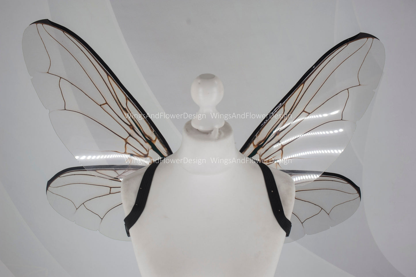 Fly brown black beetle wings, elf fairy wings, wings Photo Prop, wedding wings, butterfly fairy wings, fantasy halloween, magical fairy