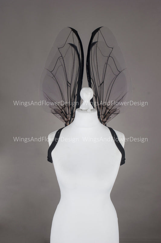 Fly black beetle wings, elf wings, fairy wings, wings Photo Prop, wedding wings, butterfly fairy wings, fantasy halloween, magical fairy