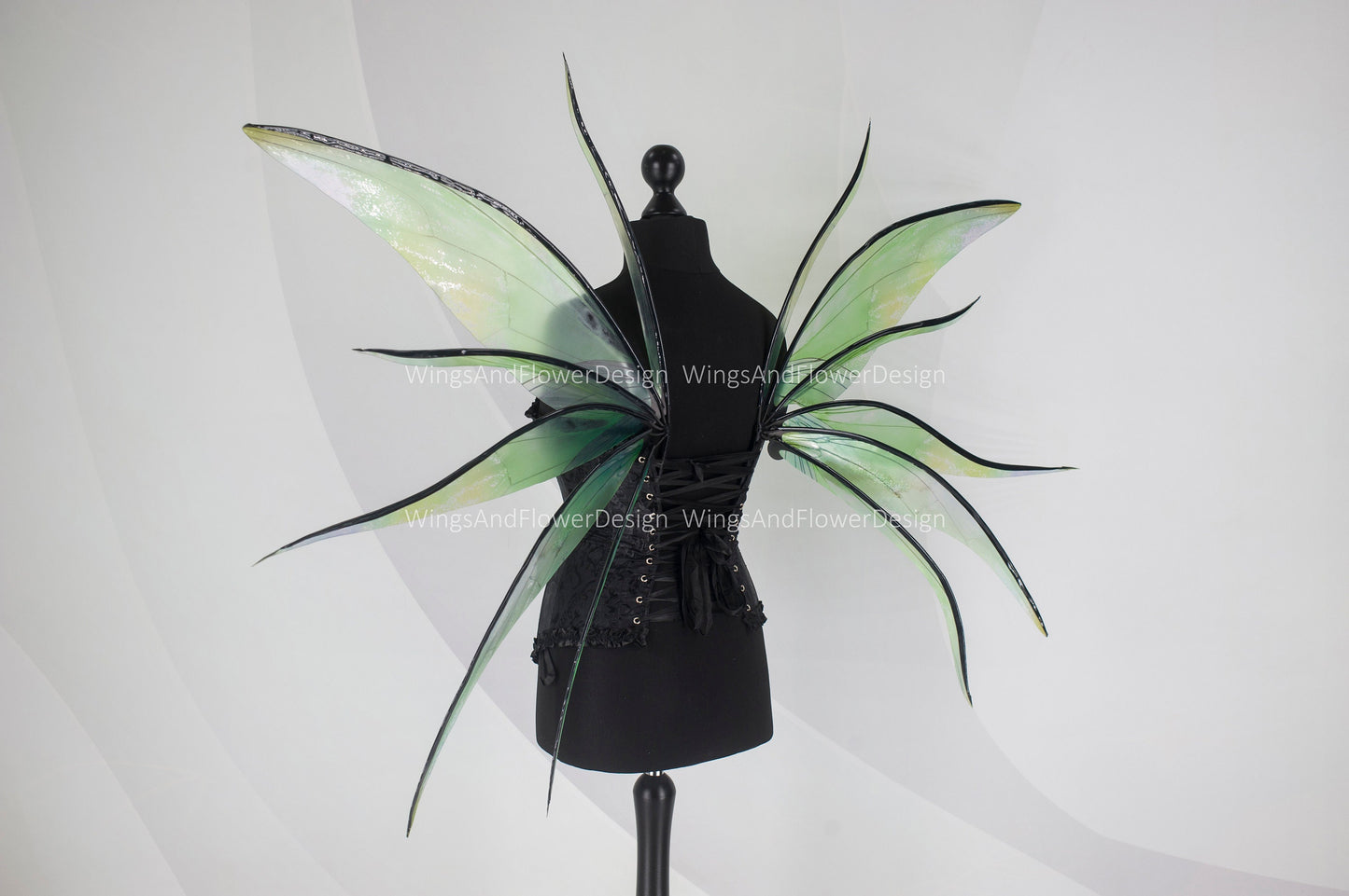 Transparent green moth wings, butterfly wings, elf wings, butterfly fairy wings, fantasy Halloween fantasy, magical fairy clear wings