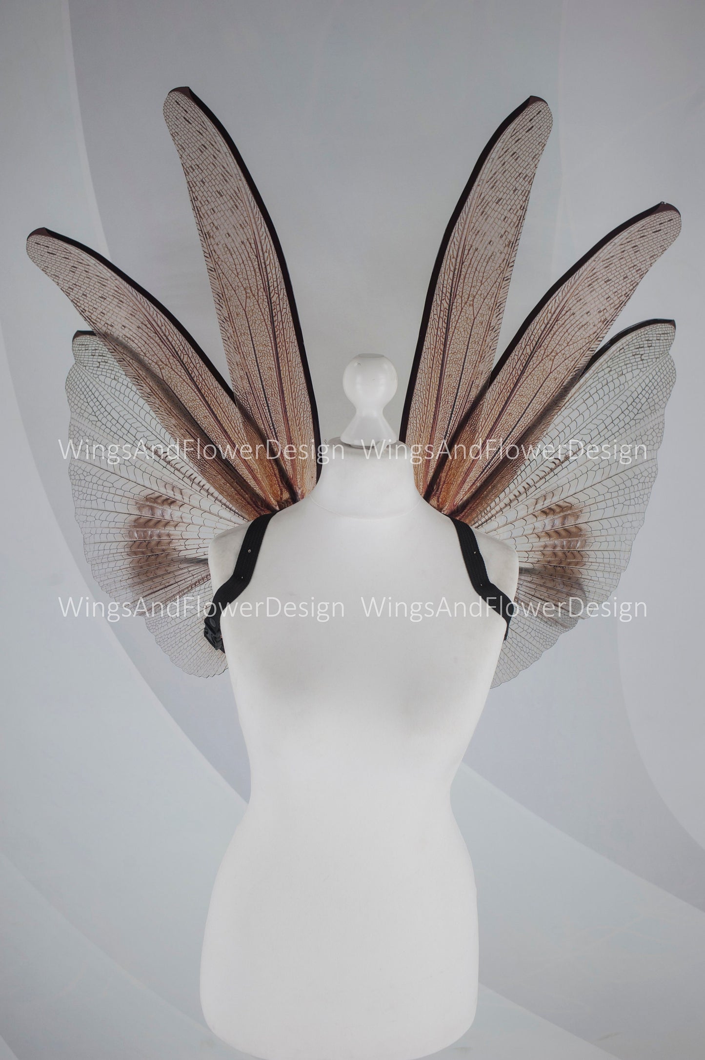 Transparent brown wings , moth wings, butterfly wings elf wings, butterfly fairy wings fantasy Halloween magical fairy clear wings