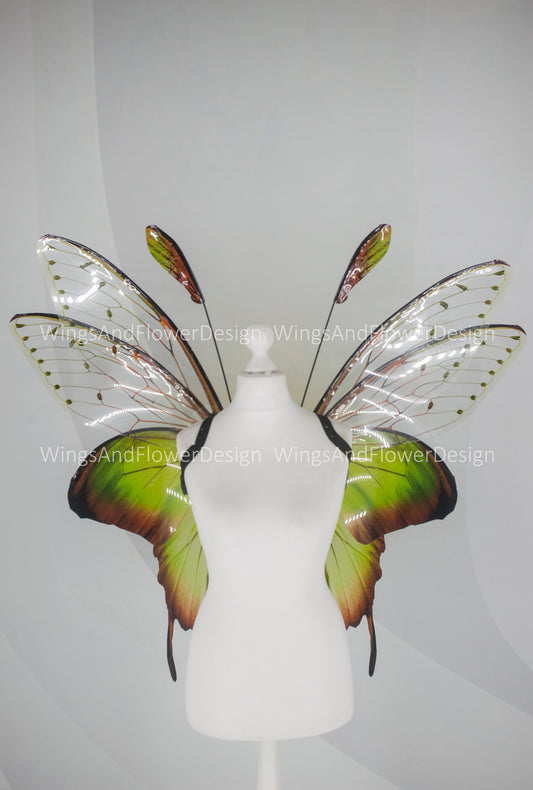 Butterfly green forest fairy wings, wings Photo Prop, wedding wings, butterfly magical fairy wings, fantasy halloween Renaissance Fair