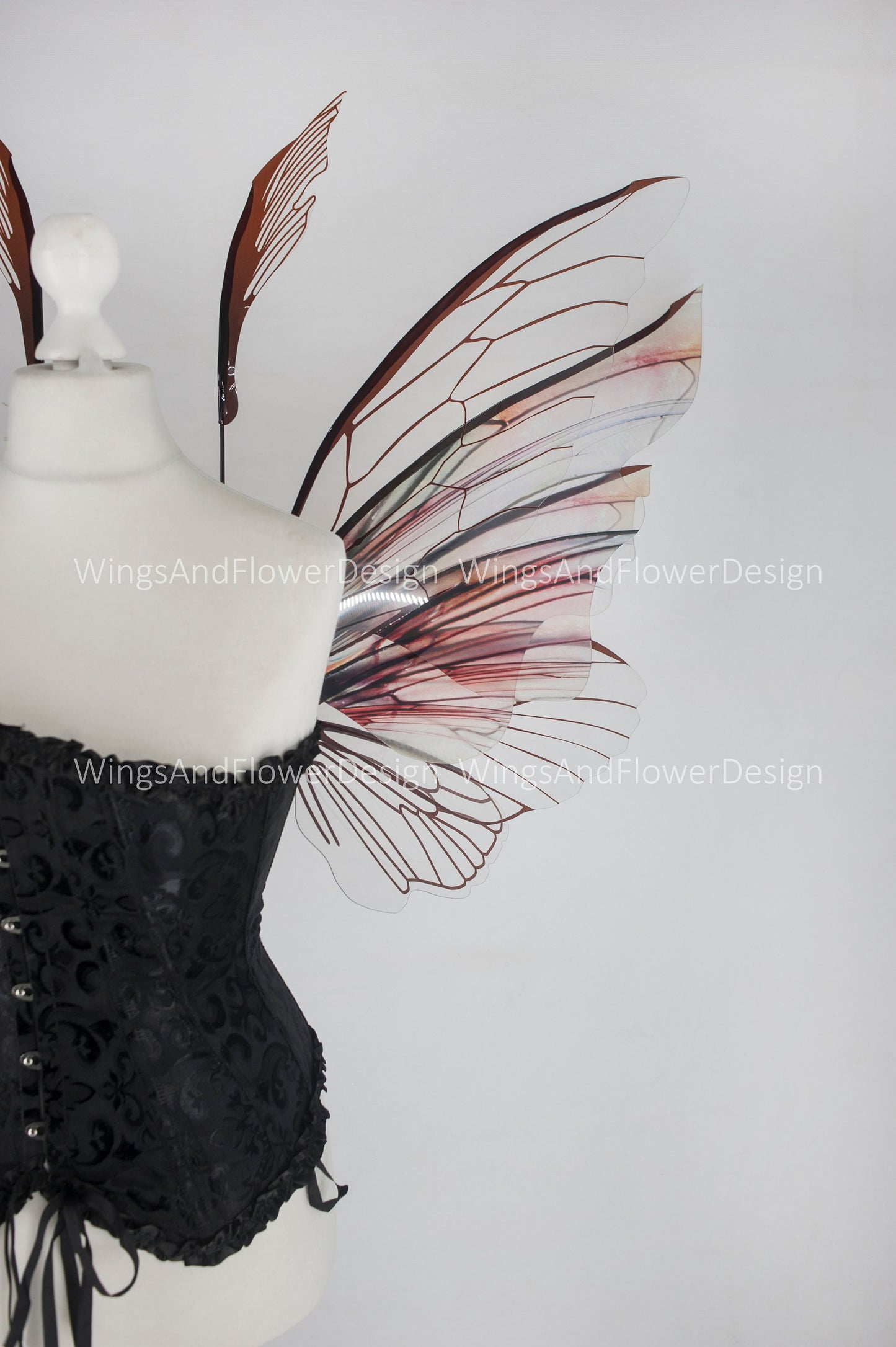 Brown transparent clear butterfly fairy wings, costume wings, dreamlike fairytale fairy wings, white Swallowtail, Blue wings, halloween