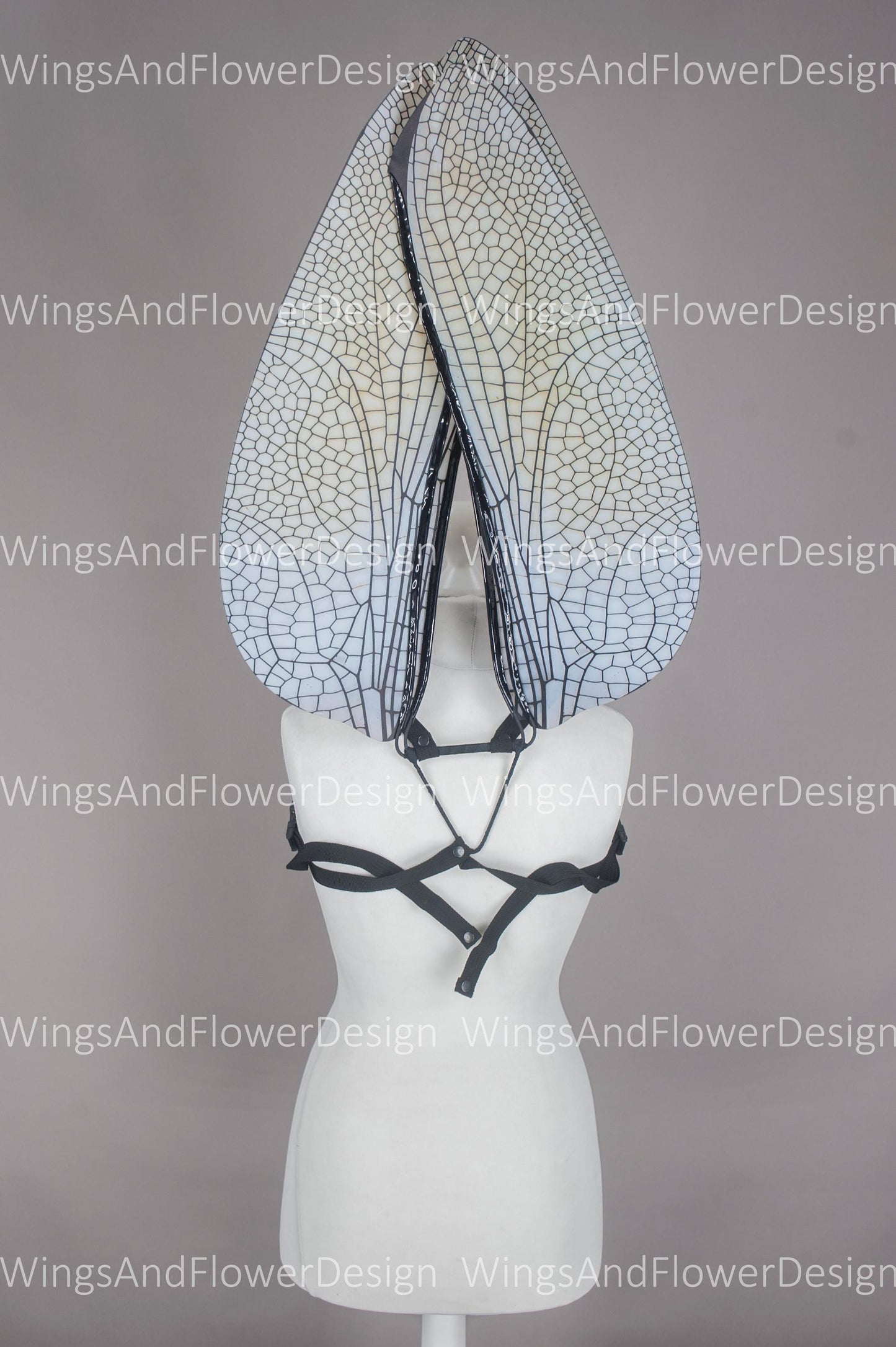 Brown white dragonfly wings, butterfly brown wings, elf fairy wings, wings Photo Prop, butterfly wings, fantasy halloween, magical fairy