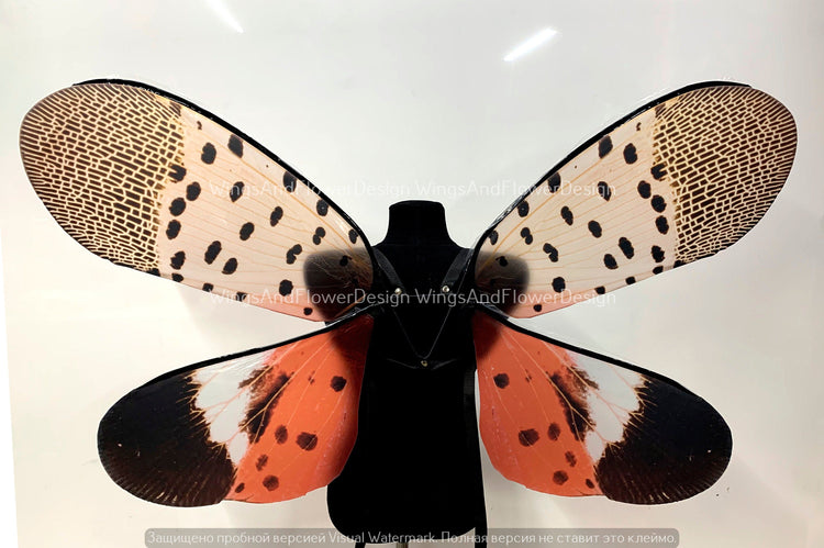 Insect wings
