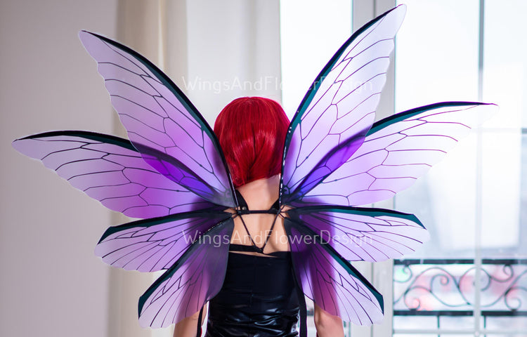Dragonfly wings