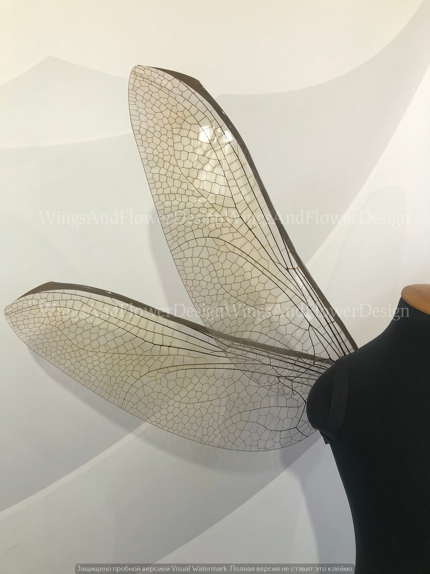 Dragonfly wings, butterfly brown wings, elf wings, fairy wings, wings Photo Prop, butterfly wings, fantasy halloween, magical fairy,