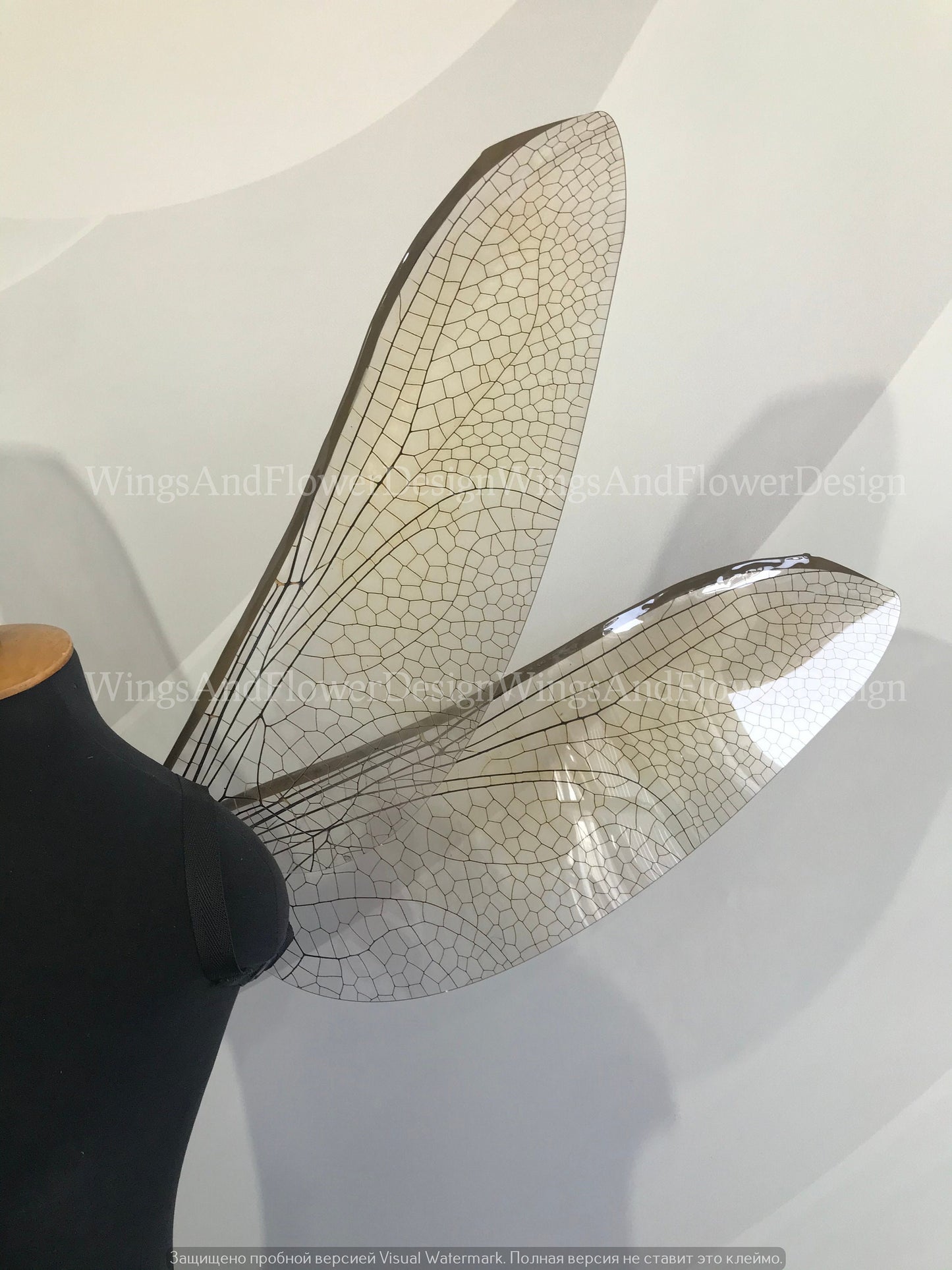 Dragonfly wings, butterfly brown wings, elf wings, fairy wings, wings Photo Prop, butterfly wings, fantasy halloween, magical fairy,