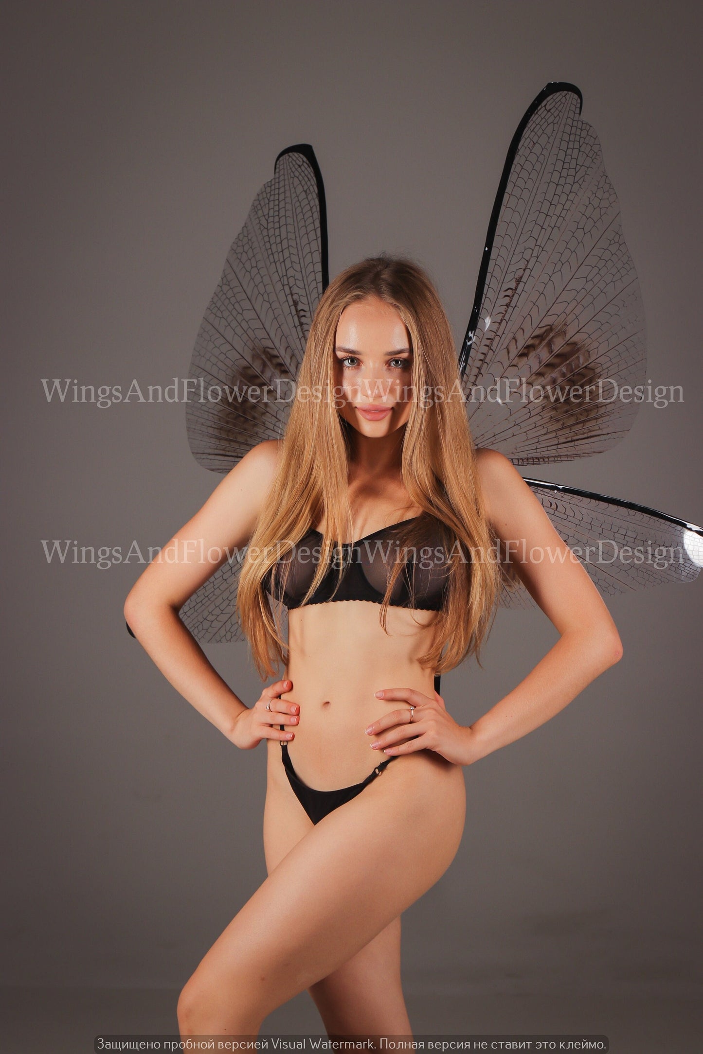 Transparent wings, butterfly wings, elf wings, wings Photo Prop, butterfly fairy wings, fantasy Halloween fantasy, magical fairy clear wings