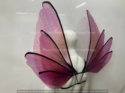Transparent pink wings, pink moth wings wings, pink elf wings, butterfly fairy wings, fantasy Halloween fantasy, magical fairy clear wings