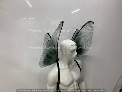 Transparent green wings, moth wings, butterfly wings, elf wings, butterfly fairy wings, fantasy Halloween fantasy, magical fairy clear wings