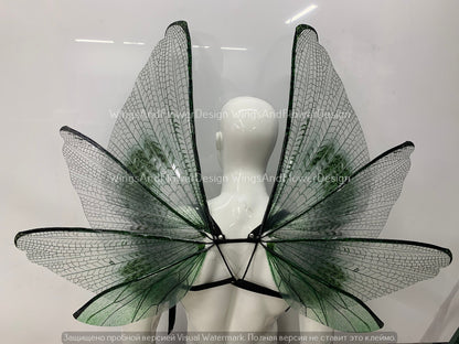 Transparent green wings, moth wings, butterfly wings, elf wings, butterfly fairy wings, fantasy Halloween fantasy, magical fairy clear wings