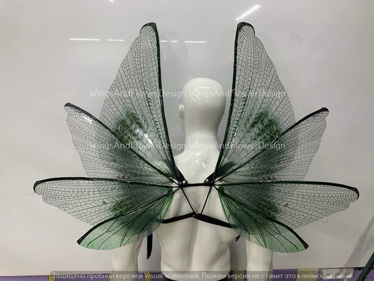 Transparent green wings, moth wings, butterfly wings, elf wings, butterfly fairy wings, fantasy Halloween fantasy, magical fairy clear wings