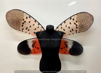Invasive spotted lanternfly wings, insect red brown wings, wings Photo Prop, butterfly wings, fantasy halloween, magical fairy
