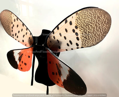 Invasive spotted lanternfly wings, insect red brown wings, wings Photo Prop, butterfly wings, fantasy halloween, magical fairy