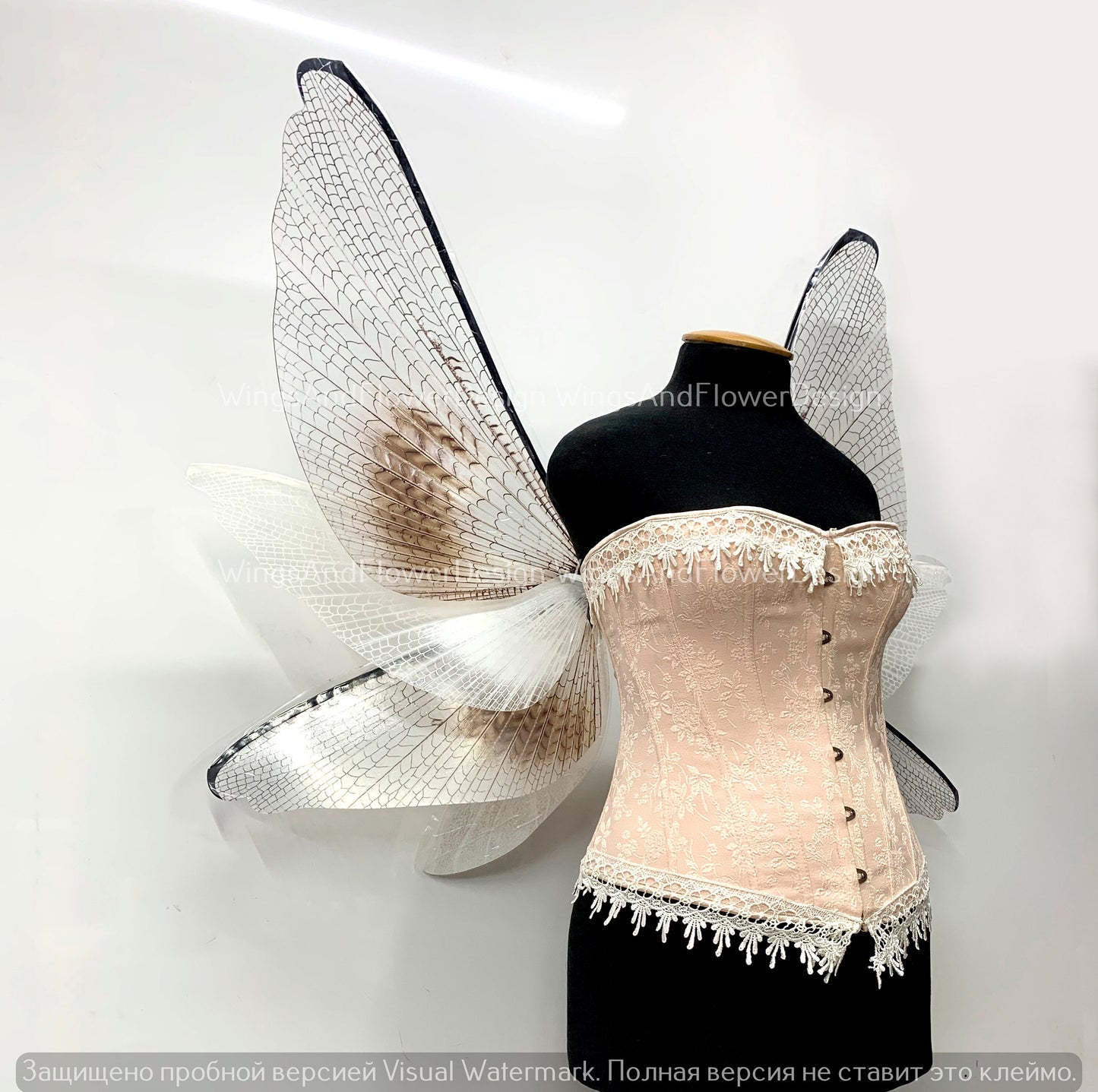 Transparent wings, moth wings, butterfly wings elf wings, butterfly fairy wings fantasy Halloween magical fairy clear wings