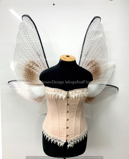 Transparent wings, moth wings, butterfly wings elf wings, butterfly fairy wings fantasy Halloween magical fairy clear wings