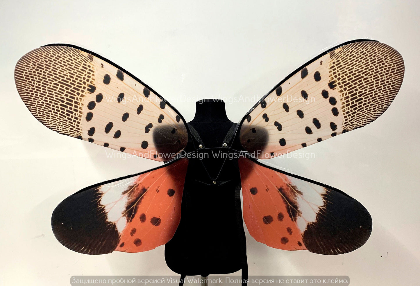 Invasive spotted lanternfly wings, insect red brown wings, wings Photo Prop, butterfly wings, fantasy halloween, magical fairy