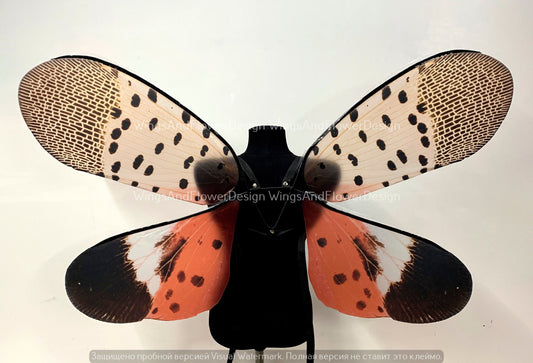 Invasive spotted lanternfly wings, insect red brown wings, wings Photo Prop, butterfly wings, fantasy halloween, magical fairy